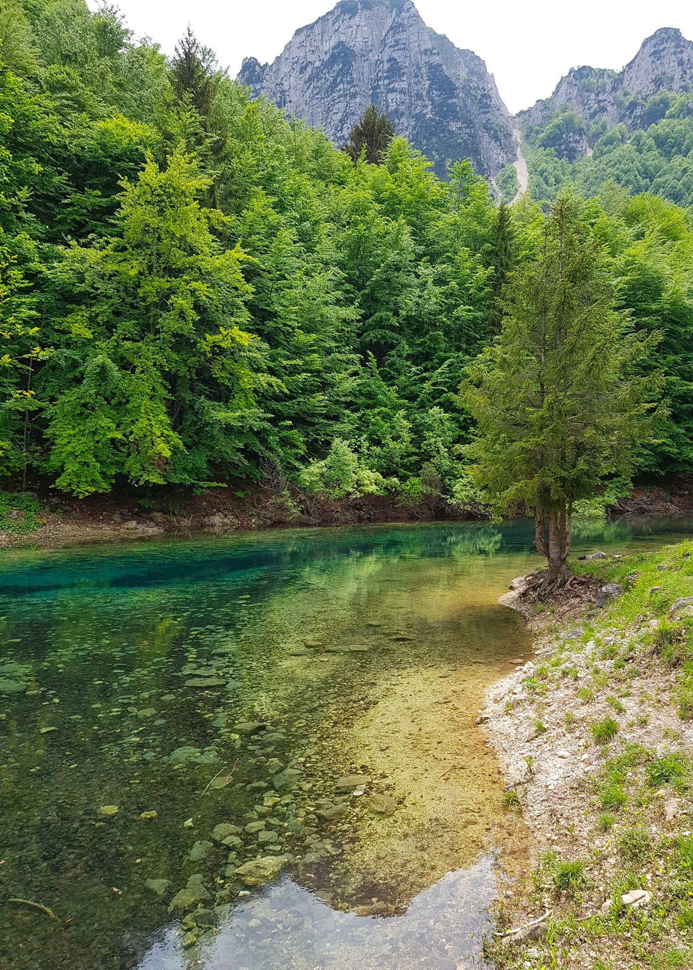 Sentiero dei grandi Alberi