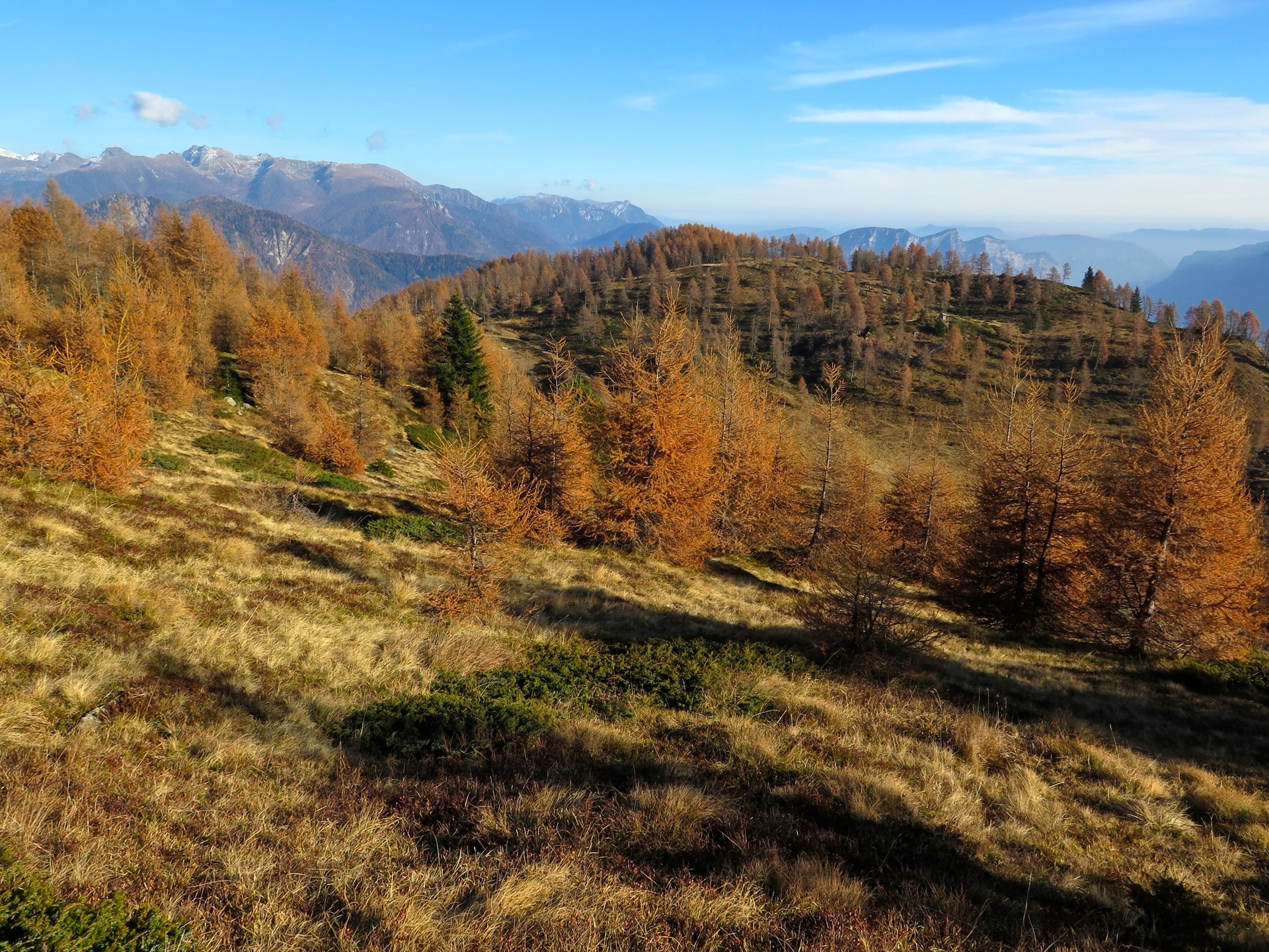 Catena Del Lagorai, Monte Hoabonti e Monte Cola