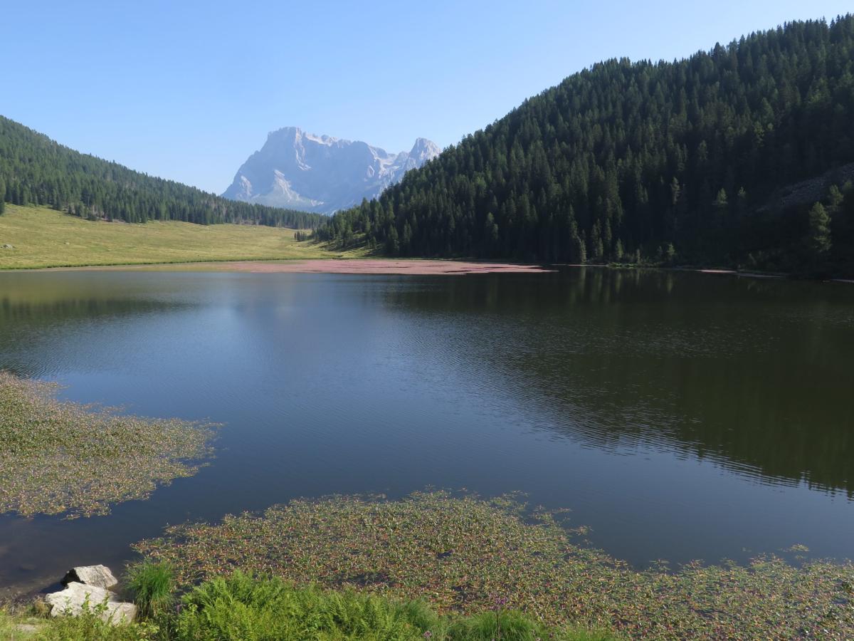 Tognola_0001