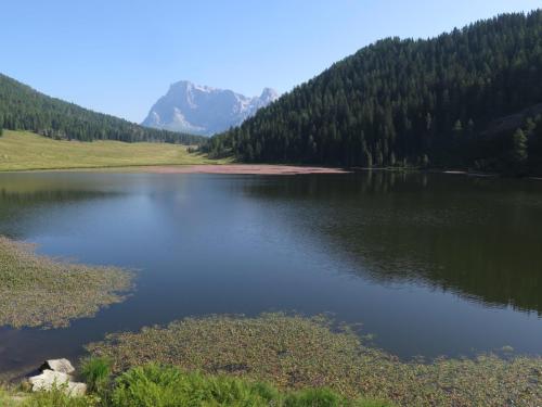 Tognola_0001
