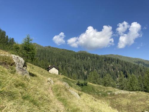 Tognola_0002