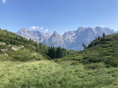 Tognola_0003