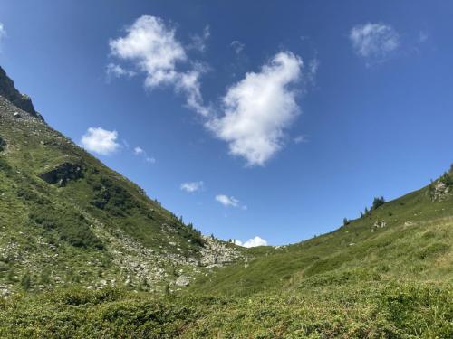 Tognola_0004