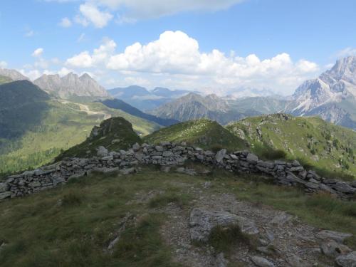 Tognola_0006